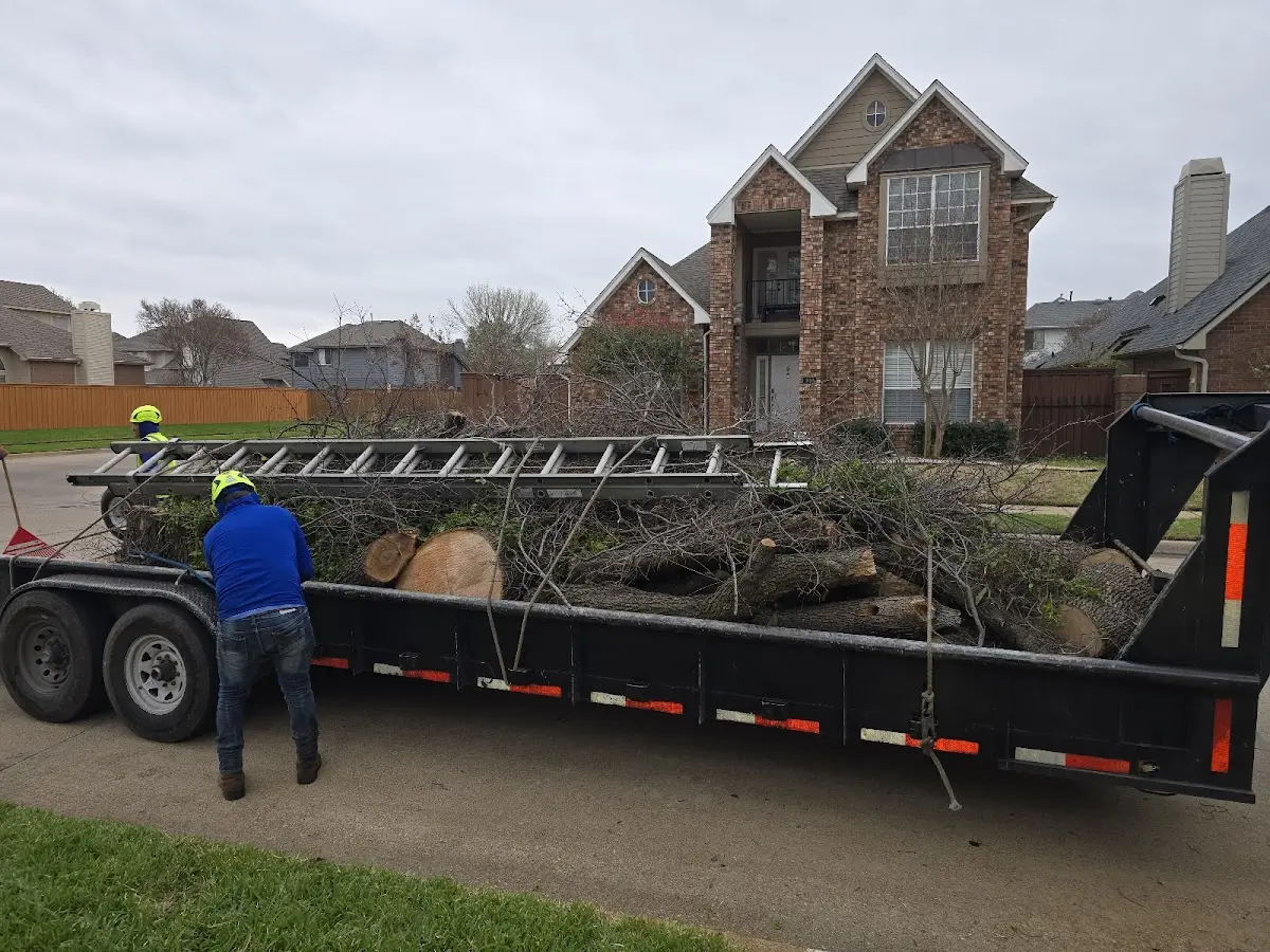 Expert Lot Clearing with proper safety equipment in Searles